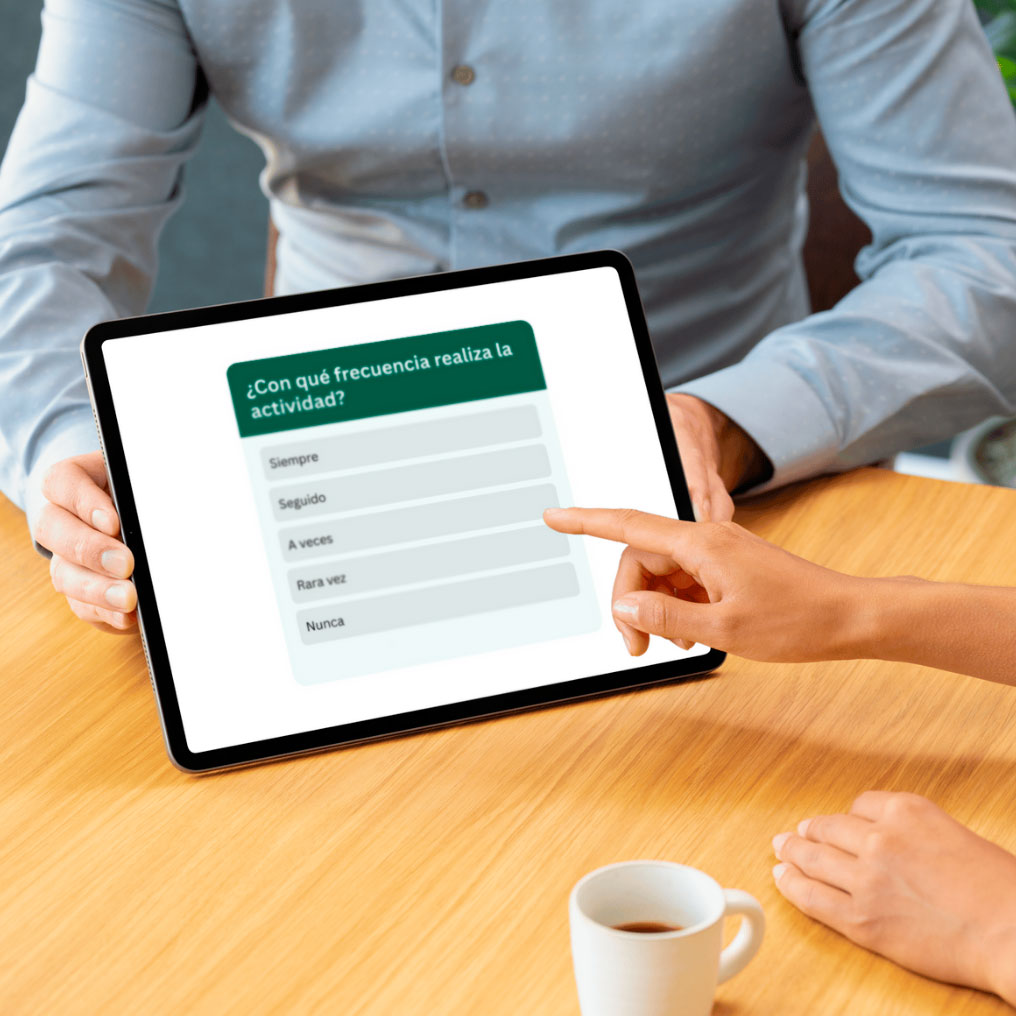 Trabajo de campo estudios sociológicos y de mercado País Vasco Enlace Norte